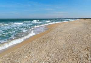 ����� �������� � ���� � ��������� ���� - ����������� 1