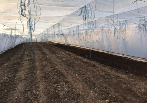 ����� �������� ��� ����������� ������������ 150 ��� Vatan Plastik. - ����������� 1