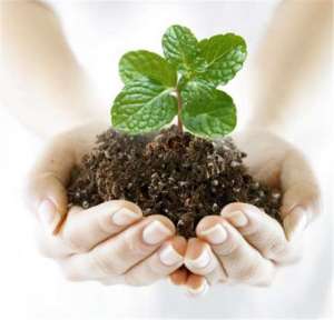 ����� �������� ������ ��������, ���������, ���������, ����������� - ����������� 1