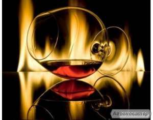 �����, ��������, ������, ��������� - ����������� 1