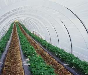 ����� �������� �������� Vatan Plastik 150 ��� - ����������� 1