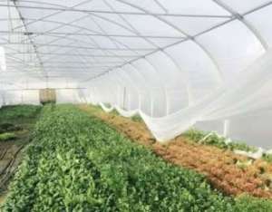 ����� ��������� ��������� �������� ������� - ����������� 1