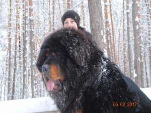 ����� ���������� �������. ������ - ����������� 1