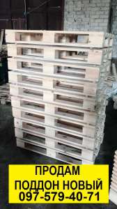 ����� ���������� �������, �����������, ���������� ����, �������������, �����. - ����������� 1