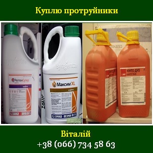 ����� ����������� 2015 ������������ ��� ������� - ����������� 1