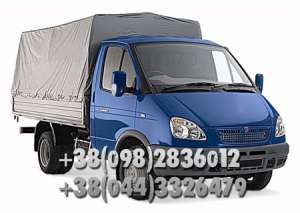 ����� ����������� - ����������� 1