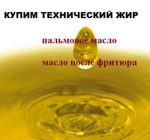 ����� ����������� ���, �������� ���� - ����������� 1