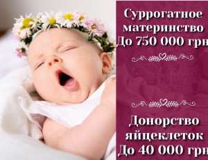 ����� ����������� ����� ����������. "SURmamka" - ����������� 1