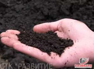 ����� ����������� ������ ��� - ����������� 1