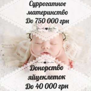 ����� ����������� ������� �����������. ��������� ������������ ����������� - ����������� 1