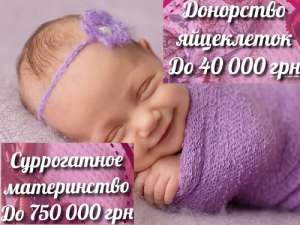 ����� ����������� "��������"|| ���������� ������� ���������� || 40 000 ��� - ����������� 1