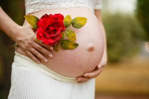 ����� ������������ ����������� "SURmamka" || ����� ������� ���������� - ����������� 1