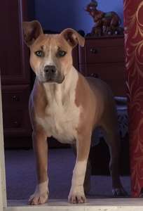 ����� ������������� ���������������� ������� (������ ���� ��� �����) - ����������� 1