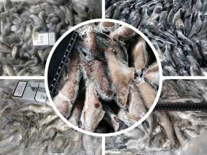 ����� �������������� � ��������� �� ������ ����� - ����������� 1