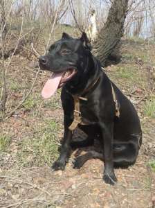 ����� ���������������� �������! ������ ������� ������� ����. �������� - ����������� 1