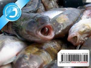 ����� �����-������������ �������������� ����� - ����������� 1