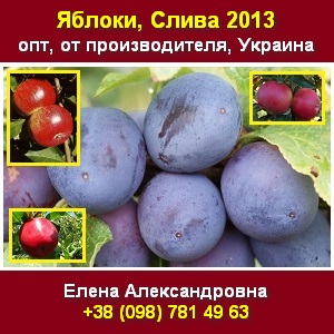 ������ 2013 ������ ����� ������ ������ ��� ������� - ����������� 1