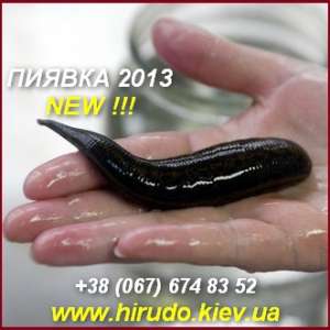 ������ 2013 ������� ��� ��� ����������� ��������. - ����������� 1