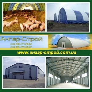 ������ 2013 �������, ��������, ������������ - ����������� 1