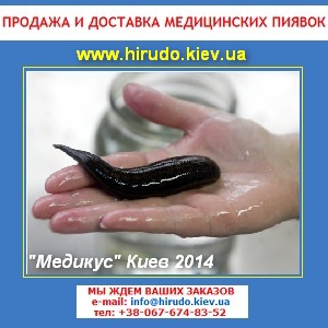 ������ 2014 ����������� ������������� ���� - ����������� 1