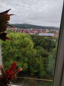 ������ 3�� ʳ������ �������� � ������� �� ���� - ����������� 1