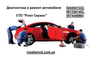 ������ Volkswagen Polo ���� ������ �����. ������-��������� Volkswagen ����. - ����������� 1