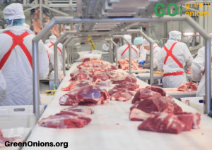 ������ � �����, ���������, ��������, ������������� ������� - ����������� 1