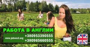 ������ � ������ - ����� 2022 ����. - ����������� 1