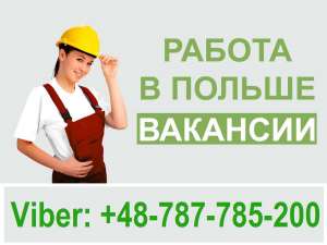 ������ � ������. ���������. �������. ������������. ���������� ��������. - ����������� 1