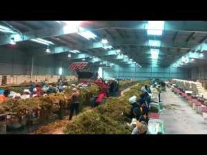 ������ � ������. ���������� �������� - ����������� 1