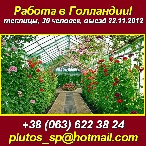 ������ � �������� ���������� (���������). ����� 22.11.2012 - ����������� 1