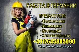 ������ � ��������: �����������, ���������, ���������, �������������� - ����������� 1