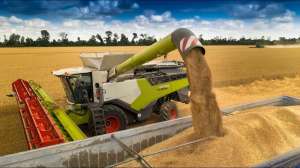 ������ �� ������ ������ ���������� ������, �������� ����� ������ �������� ���� ������� ������. - ����������� 1