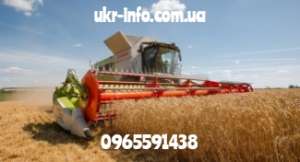 ������ �� ������ ������ ���������� �������� ����� ������������� �������� ���. - ����������� 1