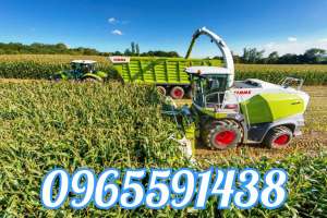 ������ �� ������ ������,������ ���������� �����,������ ���������������,�������������� ��������� �������. - ����������� 1