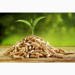 ������ �� ������� ��� ��������� ������ - ����������� 1