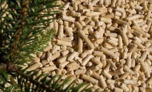 ������ �� �������. ��������. ��� - ����������� 1