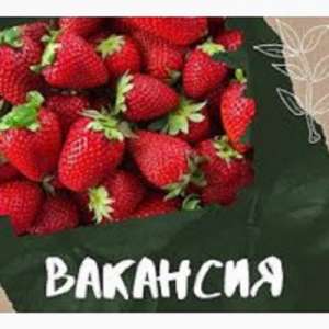 ������ �� �������� � ������ ��������� - ����������� 1