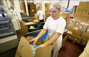 ������ �� �������� ��� Lipton � �������� - ����������� 1