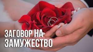 ������ �� ����������. ����� ����� ���������. - ����������� 1