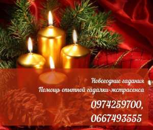 ������ �� �������������� �������. ������������ ��������. - ����������� 1