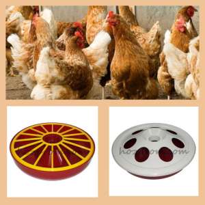 ������ ��� ������ � ������ ���� ������ ��� ����� - ����������� 1