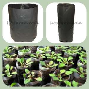 ������ ��� ������� ���������� ��� ������� ���������� ��� ������ - ����������� 1