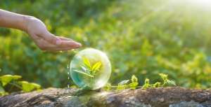 ������ ��� ��������.����� ������"B&S Product".���� � ��������� - ����������� 1