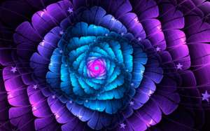 ������ ���� � ������������� ���������. ����. ������� �������. ������� - ����������� 1