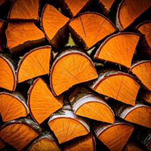 ������ ���� ��� �������� � ������ ������ ����������� - ����������� 1