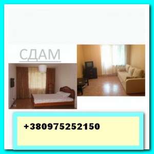 ������, ����. ���� ������������� ��������, ����� �����, ��������� - ����������� 1