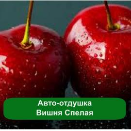 ������ ���� ������� - ����������� 1