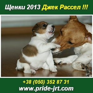 ������. ����� 2013 ���� ������ �������. ���� - ����������� 1