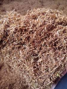 ������ ����� - ����������� 1